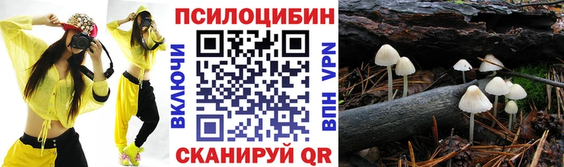 Псилоцибиновые грибы GOLDEN TEACHER Пушкино